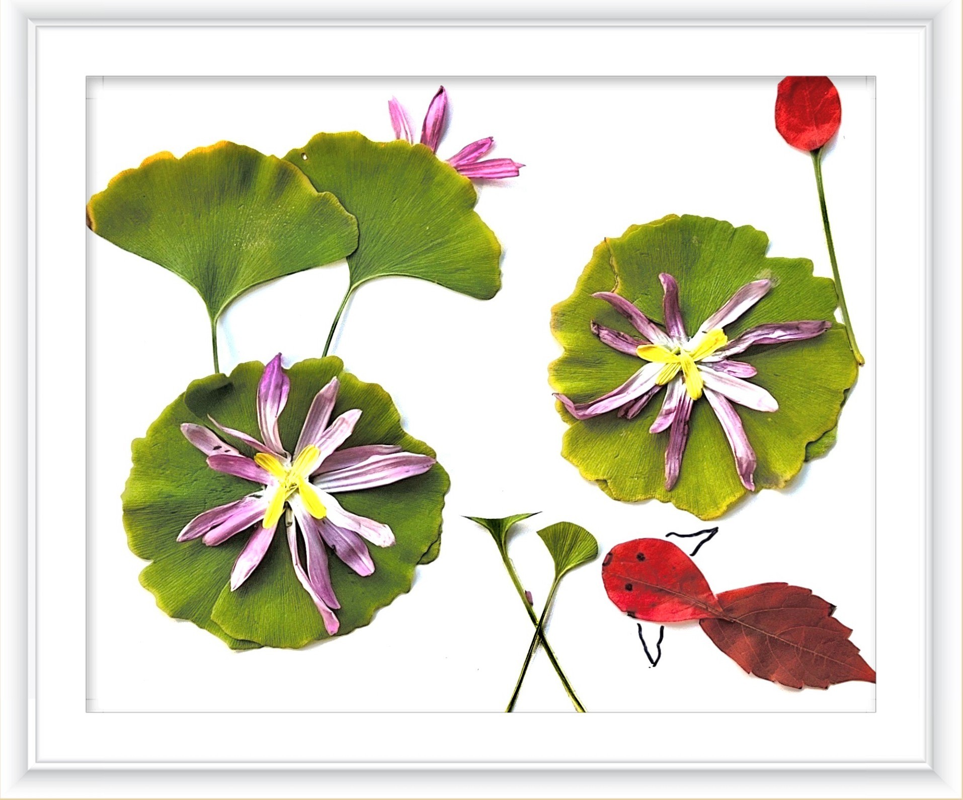 《一路清莲》作者：张颖蕊_副本.jpg